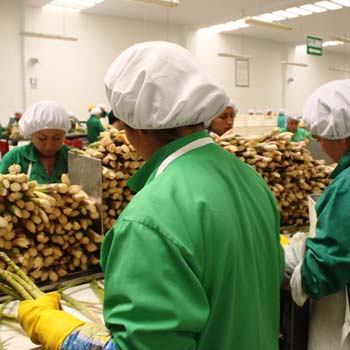 Sumagestion Asesoría Contable